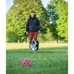 Pinewood Caribou TC Hose, Terrakotta/Grau, Herren -Günstiges Pinewood Geschäft 103237 30