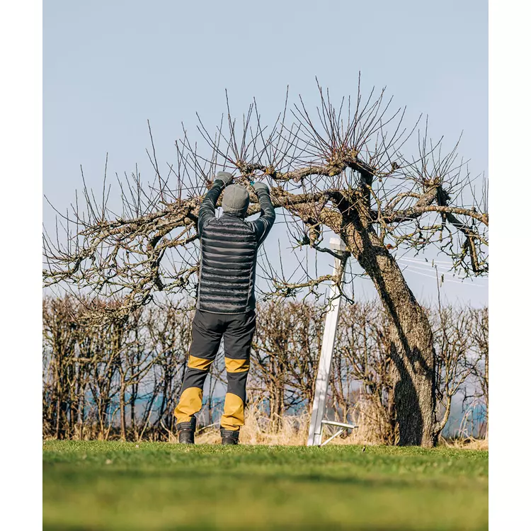 Pinewood Caribou TC Hose, Bronze/Dunkles Anthrazit, Herren 9 Pinewood Caribou TC Hose, Bronze/Dunkles Anthrazit, Herren – Bild 9