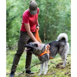 Pinewood Finnveden Hybrid Damenhose, Jagd Olive 12 Pinewood Finnveden Hybrid Damenhose, Jagd Olive -Günstiges Pinewood Geschäft 129238 20